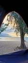 Photo 2 thumbnail 4