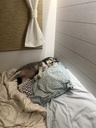 IMG_4862.jpeg thumbnail 16