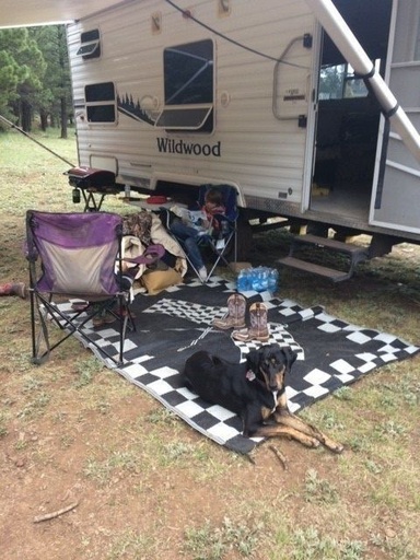 2006 Forest River Wildwood Toy Hauler for rent in Apache Junction, AZ