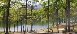 Photo 18 thumbnail 20
