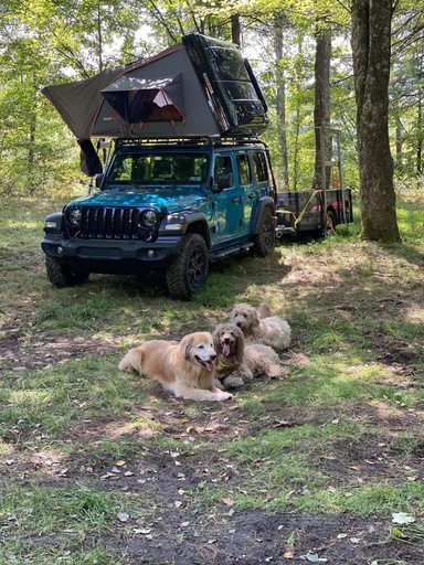 2020 Other JEEP Wrangler Other for rent in Langhorne, PA